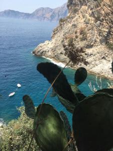 Il Profumo del Mare