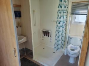 ML60 2 BED DISABLED CARAVN GOLDEN PALM CHAPEL St LEONARDS