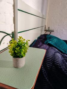 Hostel Colibri Colonia