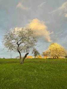 Ferienwohnung Bernhardsteinblick