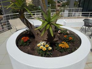 Newly refurbished 2 bed appt Vilamoura