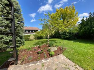 Schwanennest am Chiemsee