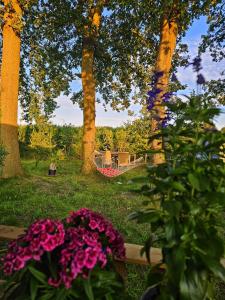 natuur huisje - 3hvězdičkové hotely ve městě Anloo