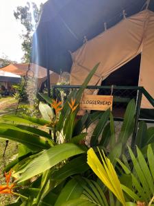 AT ONE - with Nature Glamping, Rekawa