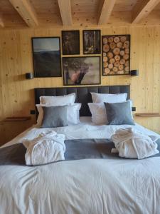 Maisons de vacances Aux melezes de Xavier GITE 4 etoiles : photos des chambres