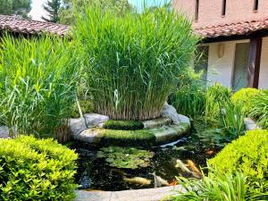 Hotels Auberge Val Moureze Hotel & Spa : photos des chambres
