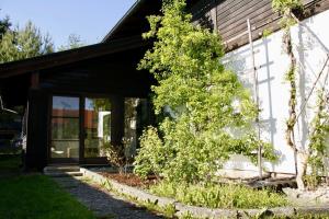 Schwanennest am Chiemsee