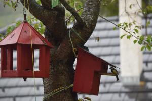 Appartements Au Clair Matin a La Mure : photos des chambres