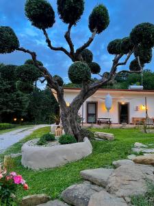 Alba in vigna Bed and Breakfast