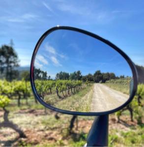 Sejours chez l'habitant Aux romarins : photos des chambres