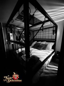 Appartements Nuit Defendue Jacuzzi-Sauna : photos des chambres