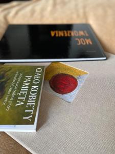 Apartament NOC Z OBRAZEM - balkon - Warszawa Praga