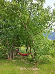 Appartements Les Oucanes : photos des chambres