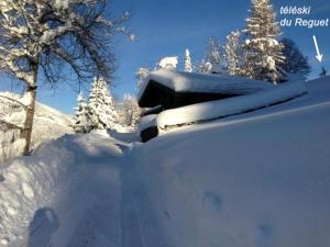 Chalet 8 pers, accès direct aux pistes, parking - FR-1-505-33