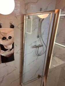 Vytauto apartamentai centre