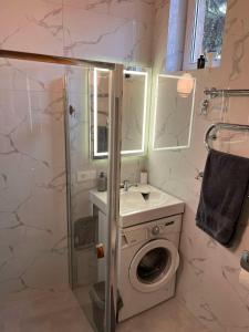 Vytauto apartamentai centre