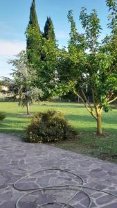B&B Il Papavero