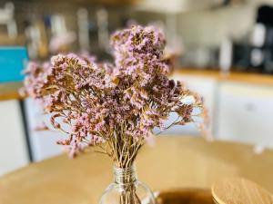 La Timonerie - La Caraque 35, vue mer et dunes classé 2 étoiles