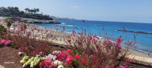 SUITE Las Terrazas Favorite Place Costa Adeje