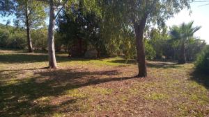 Olmedo Casa Vacanze img45