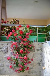 Endri Guest House