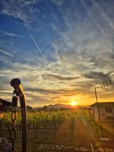 Airport Apartments TRI HRASTA