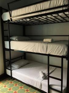 The Best Adventure Hostel