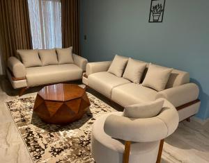 Luxurious apartment for rent, quiet living