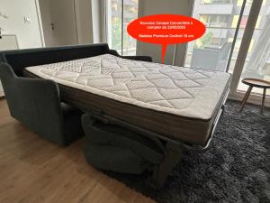 Appartements Superbe T2 proche de la Gare RER TGV Massy Palaiseau : photos des chambres