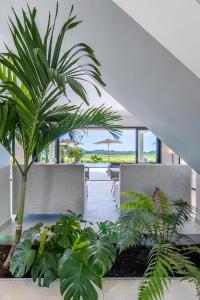 B&B / Chambres d'hotes Royal Tiki Lodges - Maison d-hotes avec piscine chauffee - Chambres ou Villa entiere - Villa SCL : photos des chambres