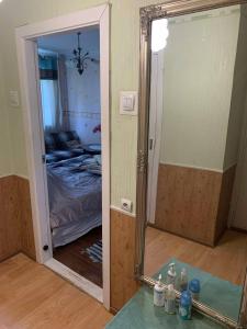 Spacious one room apartment with a balcony