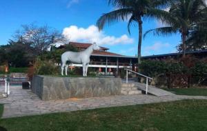 Flat 623 - Portal de Gravatá