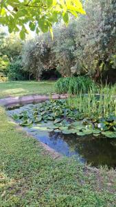 A due passi dal lago