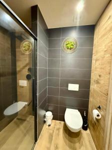 Apartmány Apollo