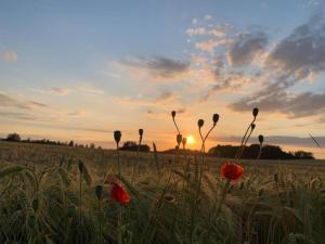 Ferienwohnung in Struppen