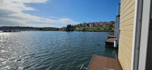 House HOUSEBOAT GECKO