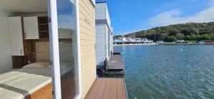 House Houseboat Gecko