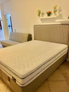 Apartment Studio Premier