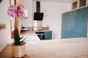 Appartement de Charme hypercentre Bayonne