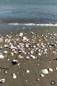 Alex Holiday Apartment