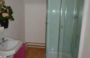 Appartements Appartement 3 etoiles - Parc aquatique - eeeaaf : photos des chambres