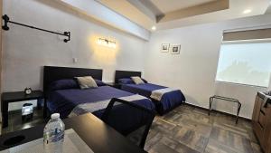 A21 Premium Suite BLACK MAX Cocina Terraza Companies Work Teams 2-4 PAX