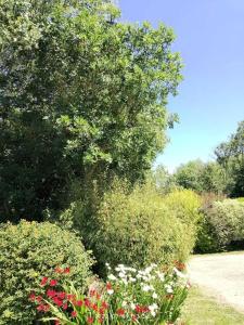 Campings Camping 3 etoiles - Piscine - eeeg00 : photos des chambres