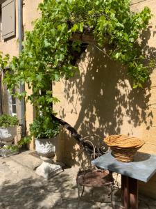 Maisonnette de charme 60m2