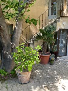 Maisons de vacances Maisonnette de charme 60m2 : photos des chambres