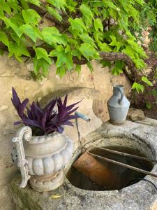 Maisons de vacances Maisonnette de charme 60m2 : photos des chambres