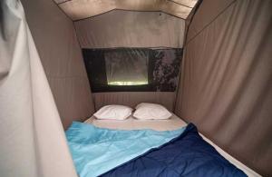 Campings Camping 3 etoiles - ccaaafd : photos des chambres
