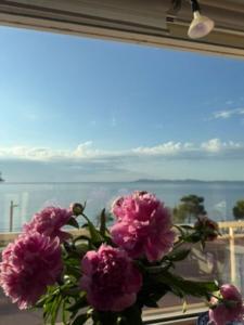 Chez Jo Duplex Terrasse vue mer Hyères