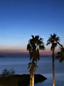Chez Jo Duplex Terrasse vue mer Hyères