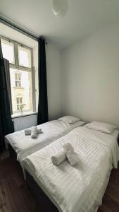 Kamienica Śródmieście Apartament 18B